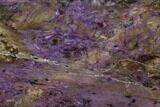 Purple Polished Charoite Slab - Siberia #129060-1